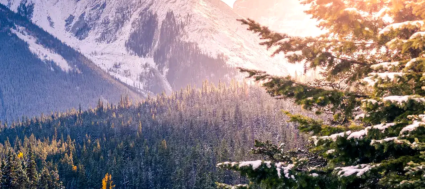 pine trees mountains RGB Desk Mat full-width design preview