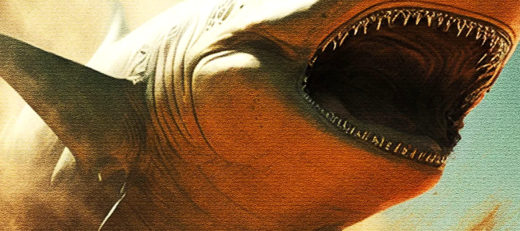 Sand Shark RGB Desk Mat full-width design preview