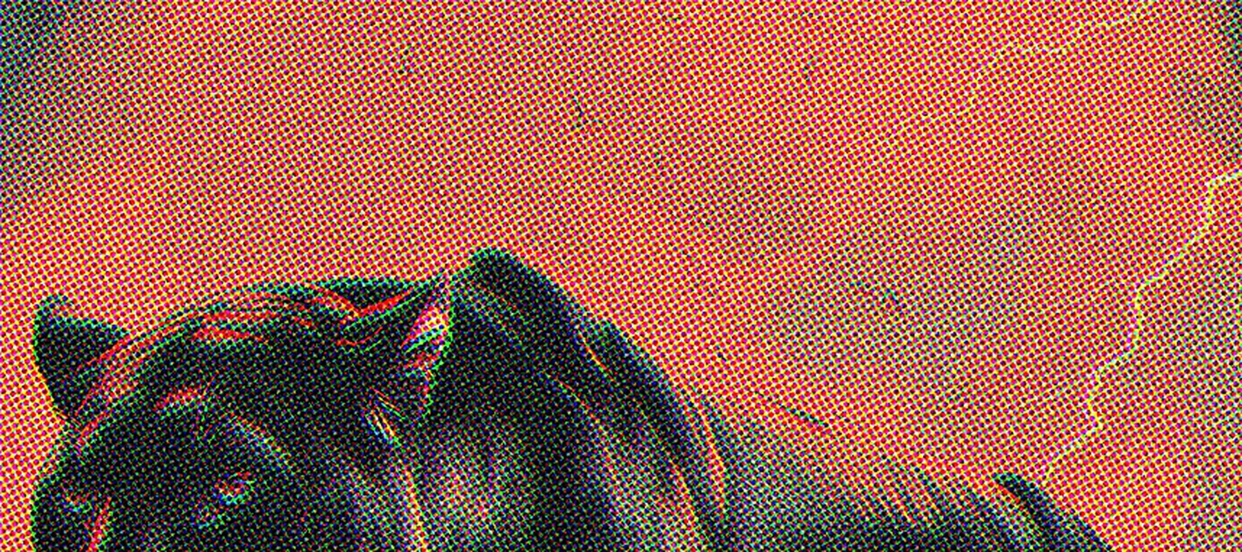 Leopard Mystic RGB Desk Mat full-width design preview